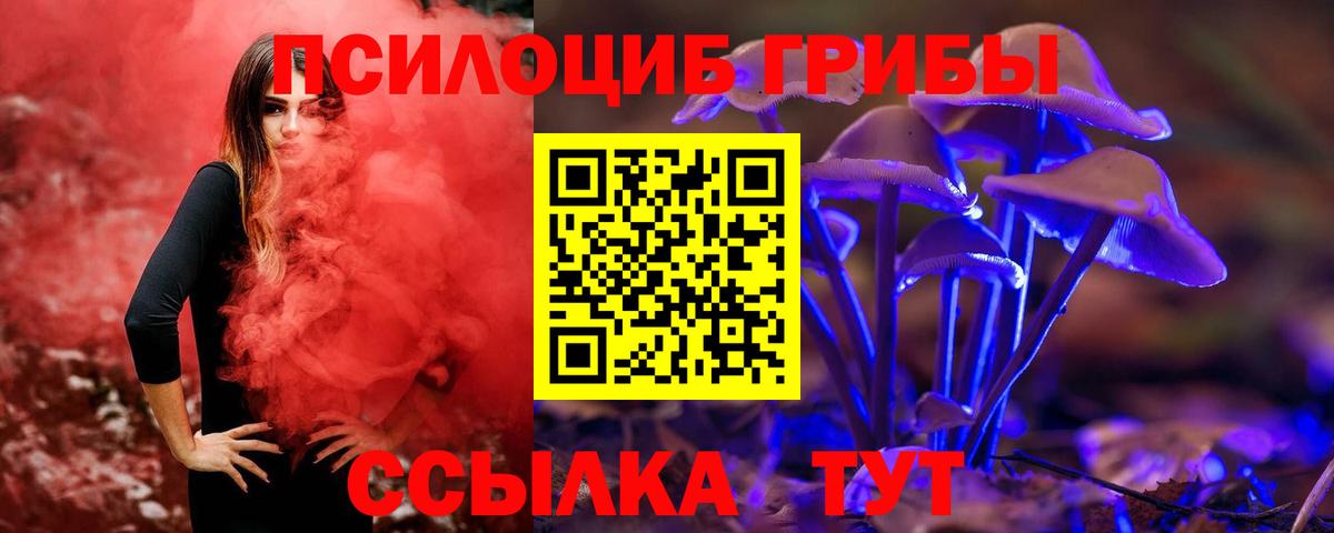 Галлюциногенные грибы MAGIC MUSHROOMS  Вход с VPN  купить наркоту  Верхний Уфалей 